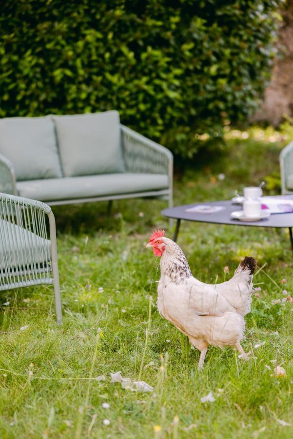 Apartmán Les Penates Mazamet Exteriér fotografie